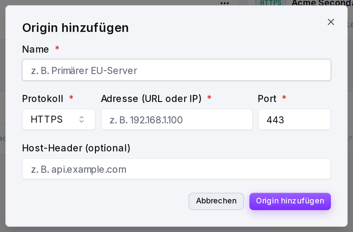 Das Formular „Origin hinzufügen“: Name, Protokoll, Adresse und Port.