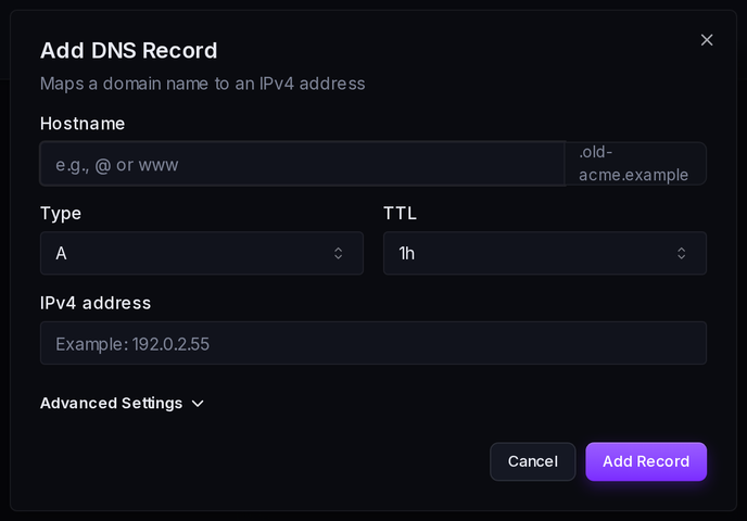 The Add DNS Record form: hostname, type, TTL, and value.