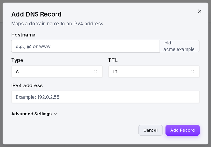 The Add DNS Record form: hostname, type, TTL, and value.