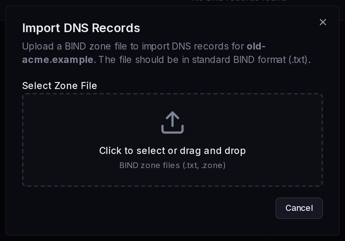 The Import DNS Records dialog: upload a BIND zone file (.txt).