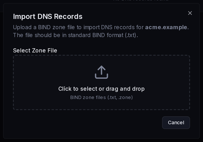 The Import DNS Records dialog: upload a BIND zone file to bulk-import records.