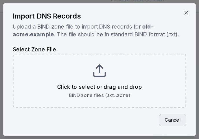 The Import DNS Records dialog: upload a BIND zone file to bulk-import records.