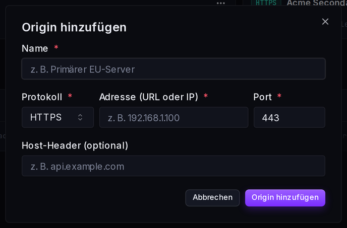 Das Formular „Origin hinzufügen“: Name, Protokoll, Adresse (URL oder IP), Port und optionaler Host-Header.