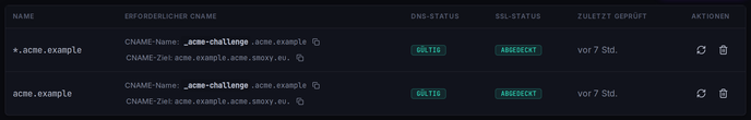 Die SAN-Tabelle in der Zertifikatsansicht: DNS- und SSL-Status je Name sowie der erforderliche CNAME-Eintrag.