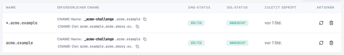 Die SAN-Tabelle in der Zertifikatsansicht: DNS- und SSL-Status je Name sowie der erforderliche CNAME-Eintrag.