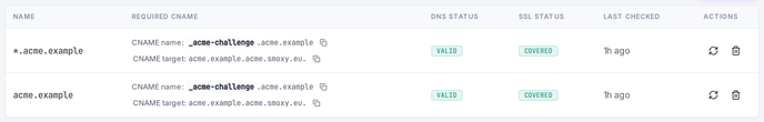 The SANs table on a certificate's detail view: each name's DNS and SSL status, plus the required CNAME record.