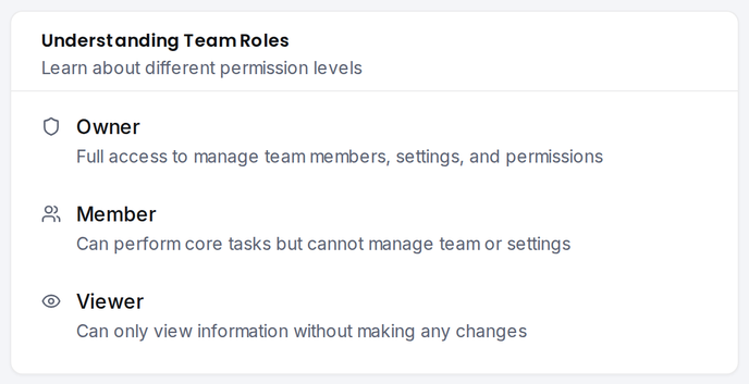 The team roles card summarising Owner, Manager, and Viewer permissions.