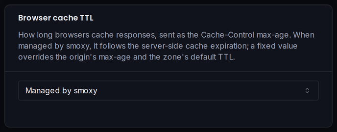 The Browser cache TTL card: how long browsers cache responses delivered by the CDN.