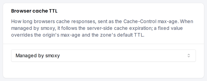 The Browser cache TTL card: how long browsers cache responses delivered by the CDN.