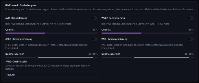 Konvertierungsschalter und Qualitätssteuerung pro Format für AVIF, WebP und das JPEG-Qualitätsziel.