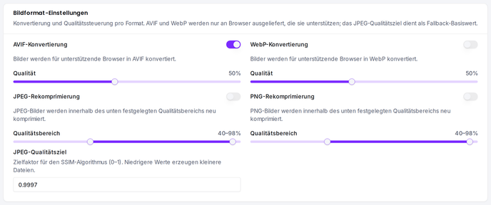 Konvertierungsschalter und Qualitätssteuerung pro Format für AVIF, WebP und das JPEG-Qualitätsziel.