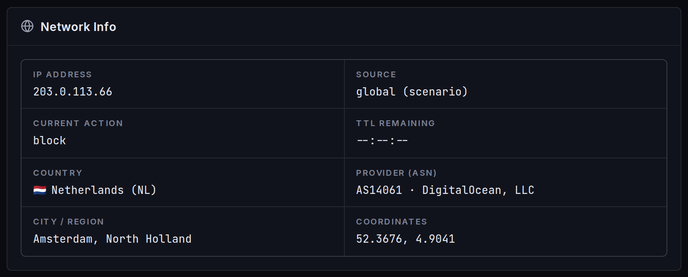The Network Info card: geolocation and network operator for the looked-up IP.