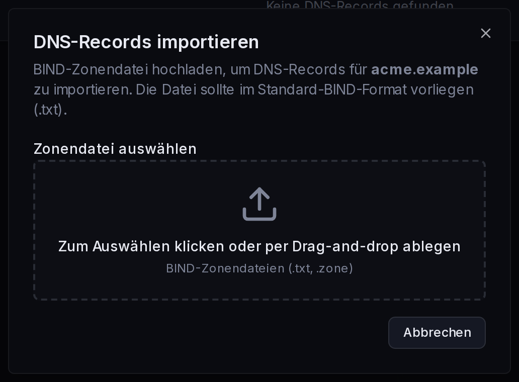 Das Dialogfeld „DNS-Records importieren“: eine BIND-Zonendatei hochladen, um Einträge gesammelt zu importieren.