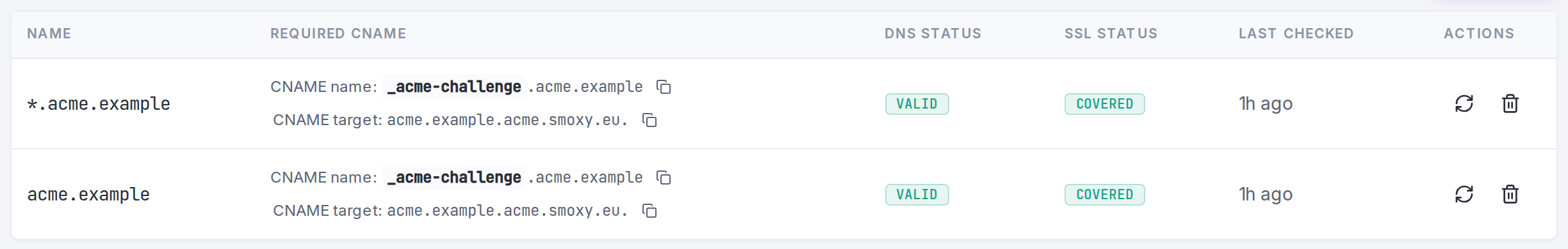 The SANs table on a certificate's detail view: each name's DNS and SSL status, plus the required CNAME record.