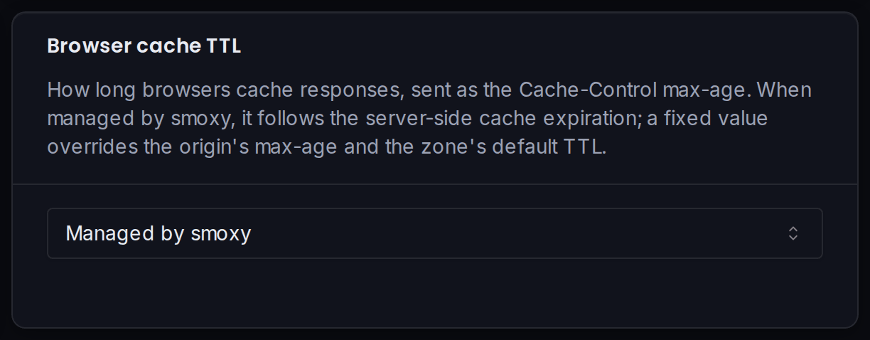 The Browser cache TTL card: how long browsers cache responses delivered by the CDN.
