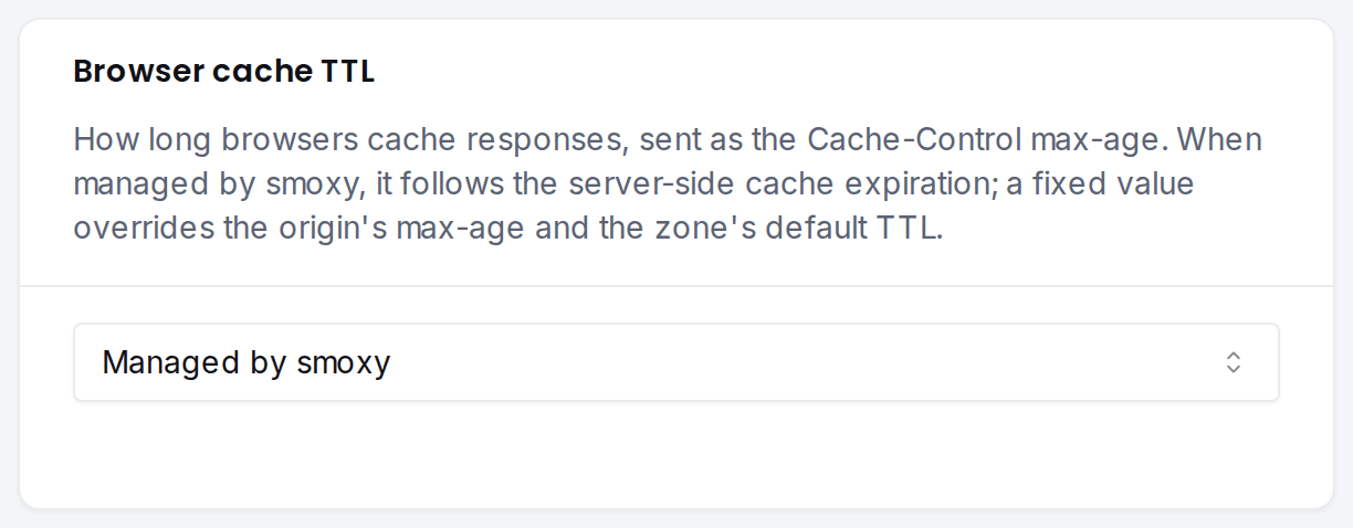 The Browser cache TTL card: how long browsers cache responses delivered by the CDN.